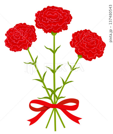 カーネーションの花束 カーネーションの花束 137480543