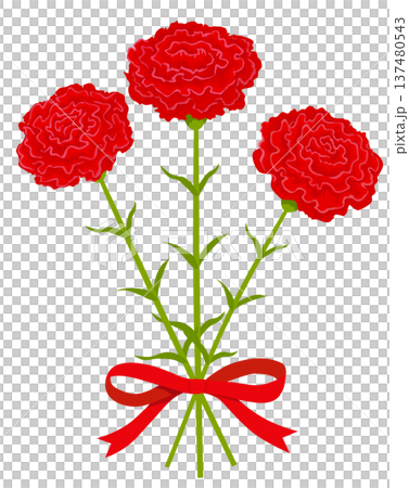 カーネーションの花束 カーネーションの花束 137480543