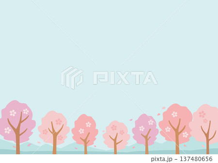 桜並木と青空の背景 桜並木と青空の背景 137480656