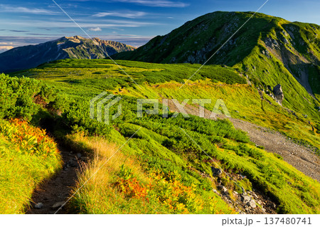 北アルプス・三俣蓮華岳への縦走路を行く登山者と薬師岳の眺め 137480741