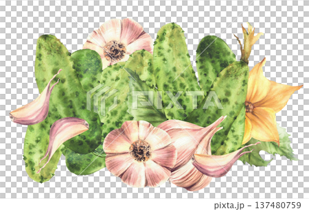 Watercolor Cucumbers and garlic bulb with cloves green leaves and yellow flowers. Hand drawn illustration for homemade farm vegetable pickling food packaging, menu on Isolated white background clipart 137480759