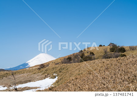 残雪の登山道と富士山の絶景：箱根パワースポット巡り 137481741