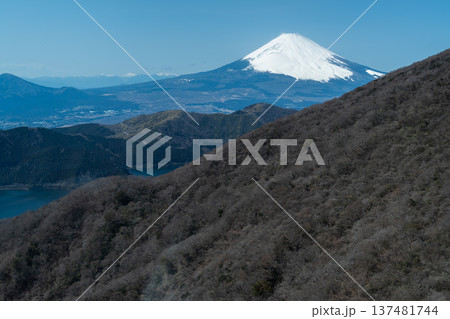 箱根駒ヶ岳山頂からの絶景：富士山と芦ノ湖を望むパノラマ風景 137481744
