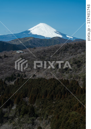 箱根駒ヶ岳山頂からの絶景：富士山と芦ノ湖を望むパノラマ風景 137481748