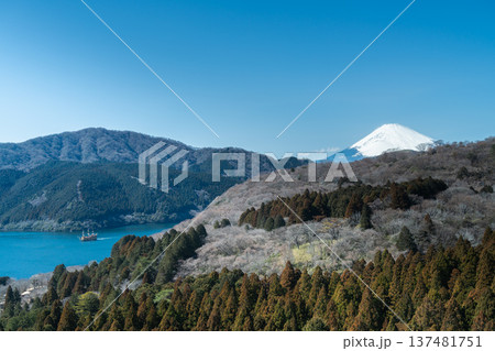箱根駒ヶ岳山頂からの絶景：富士山と芦ノ湖を望むパノラマ風景 137481751