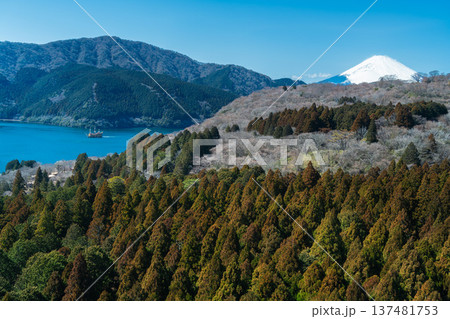 箱根駒ヶ岳山頂からの絶景：富士山と芦ノ湖を望むパノラマ風景 137481753