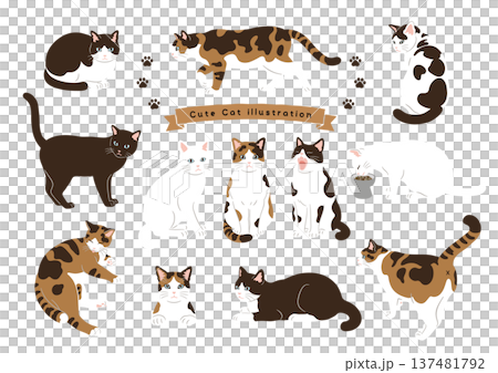 Various cat pose sets, movement variations Various cat pose sets, movement variations 137481792