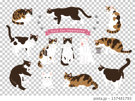 各種貓咪姿勢組合,動作變化 各種貓咪姿勢組合,動作變化 137481793
