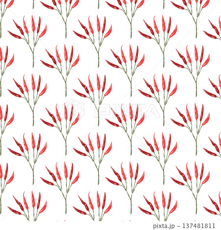 枝付き唐辛子のシームレスパターン背景イラスト（赤・複数） 137481811