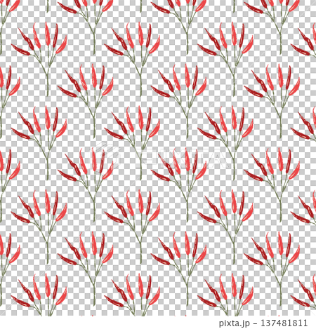 枝付き唐辛子のシームレスパターン背景イラスト（赤・複数） 137481811