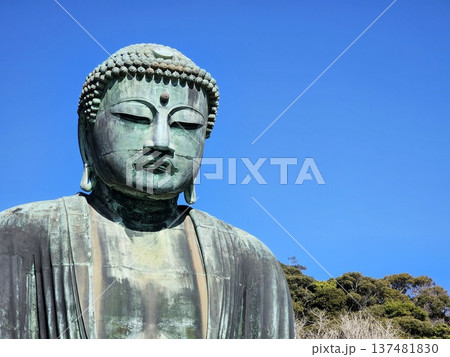 Close up Great Buddha of Kamakura, Bronze statue of Amida Buddha located at Kotoku in Temple in Kamakura, Japan. 137481830