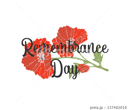 Remembrance Day lettering with Poppy flowers hand drawn, on white background. Remembrance Day lettering with Poppy flowers hand drawn, on white background. 137482018