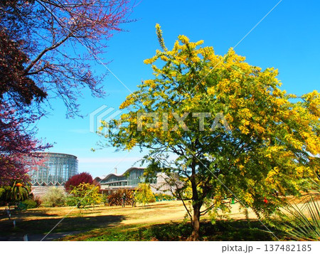 千葉市花の美術館 千葉市花の美術館 137482185