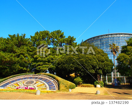 千葉市花の美術館 137482190