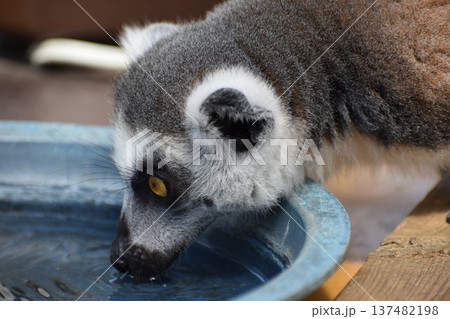 眼光 眼光 137482198