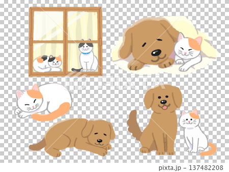 のんびり過ごす犬と猫のイラストセット 137482208