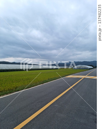 This is a rice paddy landscape with a greenhouse. This is a rice paddy landscape with a greenhouse. 137482235