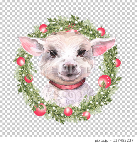 Portrait of a white lamb head surrounded by a green fir branch Christmas wreath. Decorated with red balls and snow on a white background. Watercolor 137482237