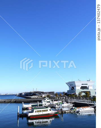 青空が広がる大さん橋 青空が広がる大さん橋 137482479