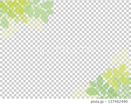 清新綠色葉子邊框，植物設計，春季植物裝飾，透明PNG格式 137482490
