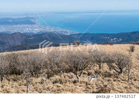 箱根元宮から見た相模湾の絶景 137482517