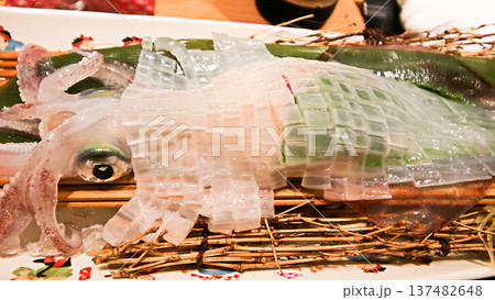 福岡県　博多　福岡名物　ヤリイカ活き造り 137482648
