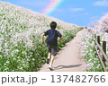 桜と浜大根に囲まれた虹のかかる道を走る学生 137482766