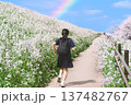 桜と浜大根に囲まれた虹のかかる道を走る学生 137482767