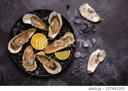 Opened fresh oysters on a plate, served with lemon and ice. 137483205