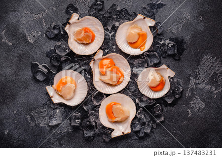 Scallop is placed on ice 137483231
