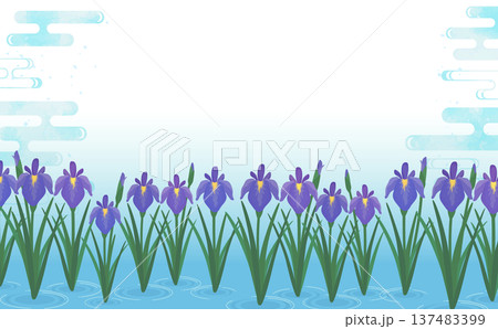 水に群生する菖蒲の背景1_横 137483399