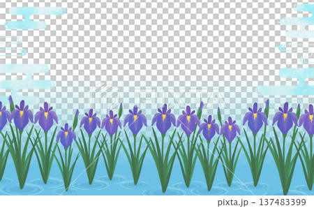 水に群生する菖蒲の背景1_横 137483399
