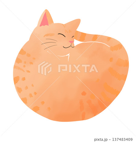 水彩風 丸まる茶トラ猫のイラスト 水彩風 丸まる茶トラ猫のイラスト 137483409