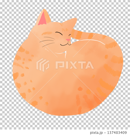 水彩風 丸まる茶トラ猫のイラスト 水彩風 丸まる茶トラ猫のイラスト 137483409