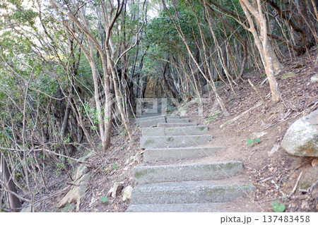高知県土佐清水市 龍宮神社参道 高知県土佐清水市 龍宮神社参道 137483458