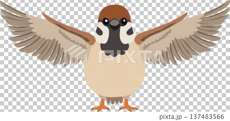 cute sparrow bird cartoon character wings spread .brown garden bird cute sparrow bird cartoon character wings spread .brown garden bird 137483566