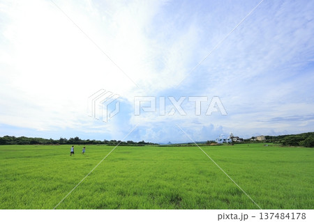 台湾 屏東 墾丁 137484178