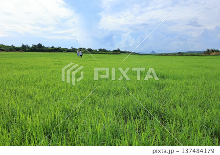 台湾 屏東 墾丁 137484179