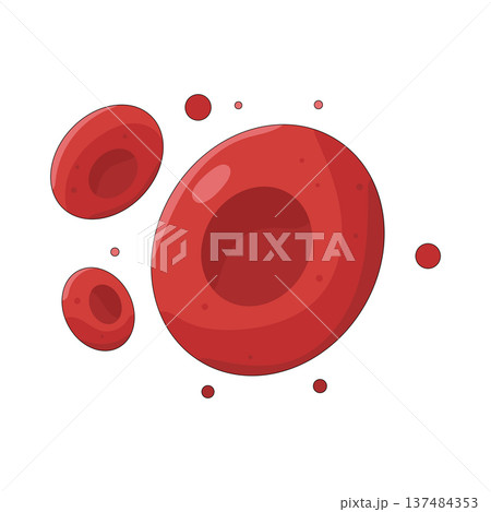 Illustration of red blood cell 137484353