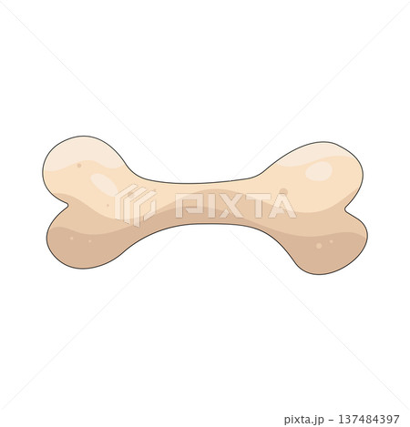 Illustration of human bone Illustration of human bone 137484397
