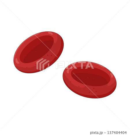 Illustration of red blood cell 137484404