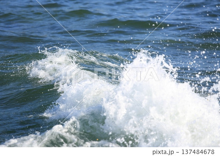 晩夏の葉山 137484678