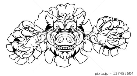 Boar Wild Hog Razorback Warthog Pig Sports Mascot Boar Wild Hog Razorback Warthog Pig Sports Mascot 137485604
