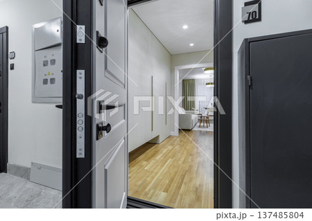 Open Entrance to Modern Apartment with Hallway and Living Room View 137485804