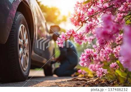 Outdoor Automotive Service Scene with Flowering Trees and Vehicle Near a Beautiful Sunlit Setting 137486232