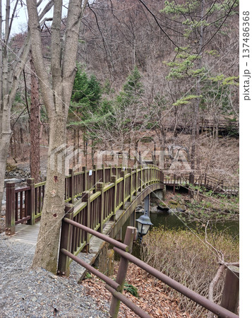 This is Maninsan Recreational Forest in Daejeon, Korea. This is Maninsan Recreational Forest in Daejeon, Korea. 137486368