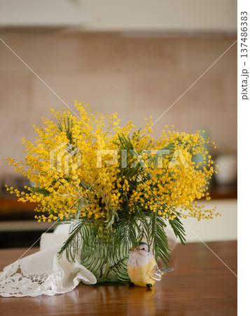 Cute Tit bird figurines under blooming mimosa flowers, spring decoration concept in the modern kitchen interior. Cozy spring composition is good for Easter celebration and seasonal decor. 137486383