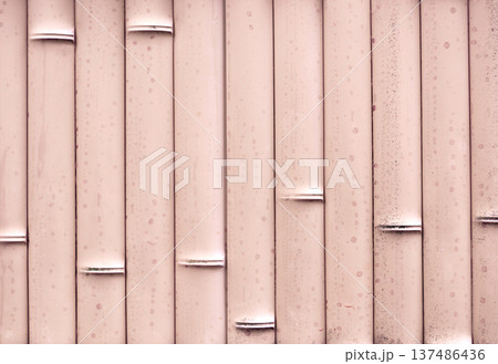 Bamboo wall texture background. Natural eco friendly bamboo wood detailed backdrop pattern. Horizontal or vertical banner with close up details of bamboo fence. Photo toned in pink color Bamboo wall texture background. Natural eco friendly bamboo wood detailed backdrop pattern. Horizontal or vertical banner with close up details of bamboo fence. Photo toned in pink color 137486436