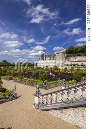 Chateau de Villandry with formal renaissance gardens in France 137486445
