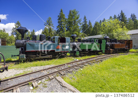 Old steam locomotives parked on tracks outside in the Liptov Village Museum 137486512